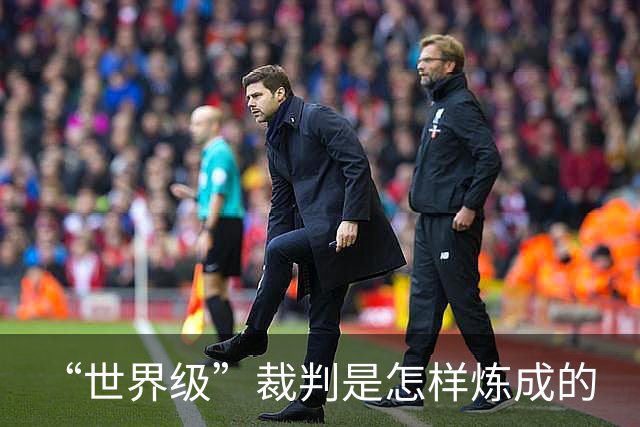 “世界级”裁判是怎样炼成的